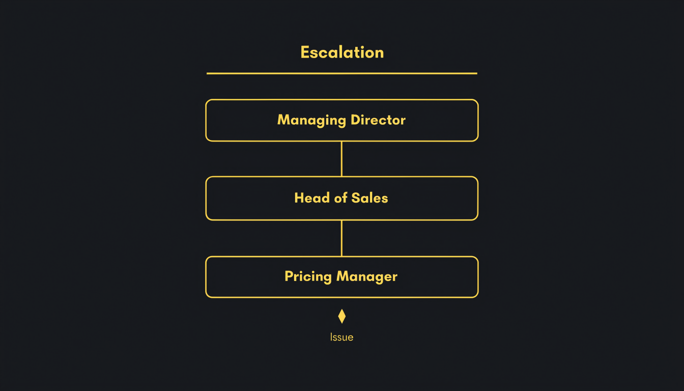Flowchart titled 'Escalation' showing an issue passing up from Pricing Manager to Head of Sales to Managing Director.